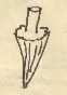 A small hand-drawn diagram of a cone-shaped drill bit, scanned from Albright's letter.