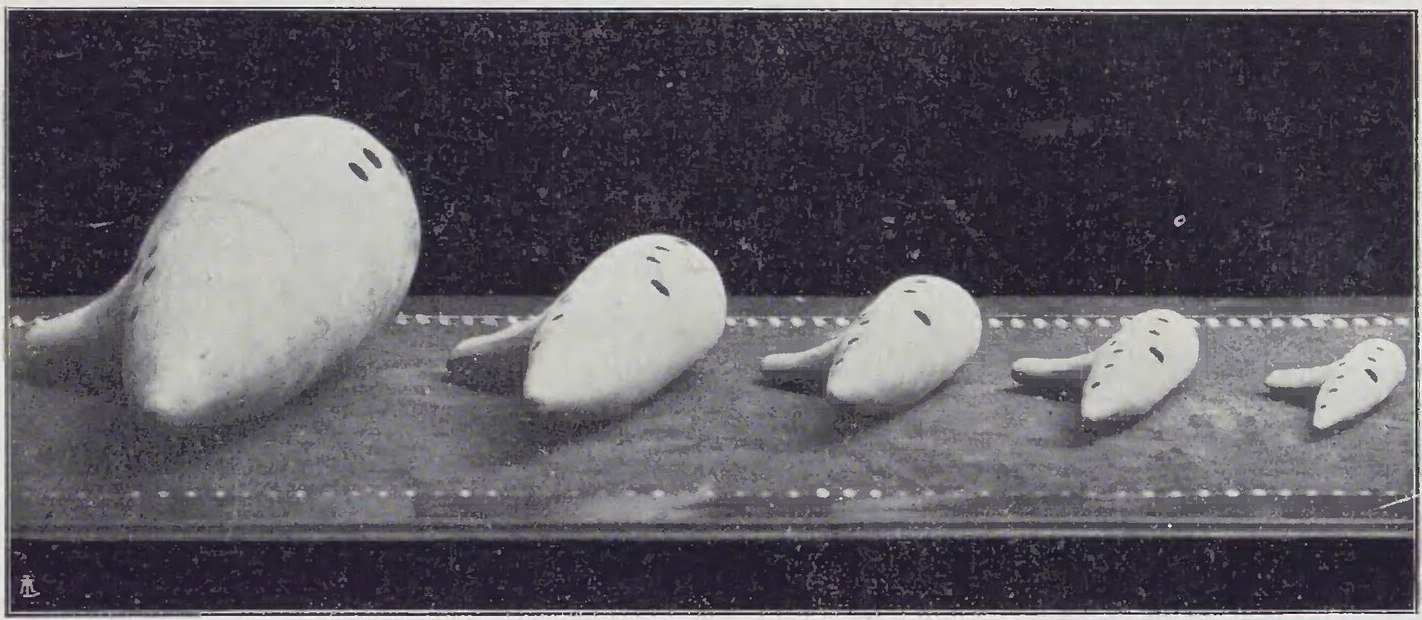 Photograph from Ars et Labor, July 15, 1909, page 494, captioned Una famiglia d'ocarine